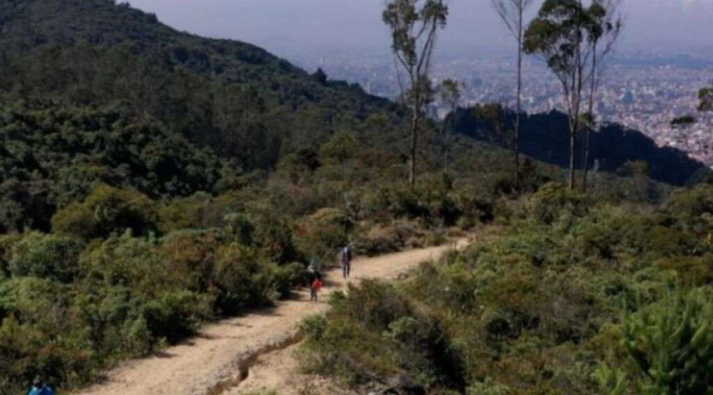 imagenessenderos Bogota